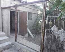 Setkalı hasar