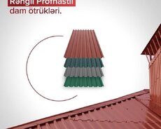 Dam ortukleri