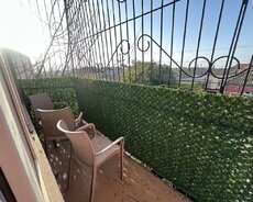 Balkon suni sarmasiqları
