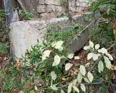 Beton plitələr