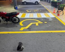 yol xətt boya işləri