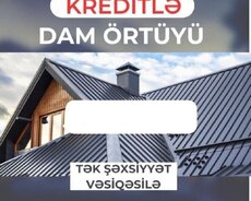 Dam örtüyü