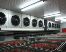 Soyuducu anbar və tikintisi