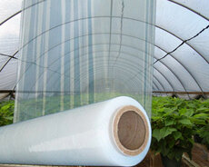 İstixana üçün salafan