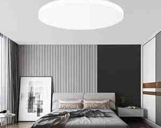 Mi Smart LED Ceiling Light