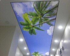 Dartma tavan dartma tavanlar