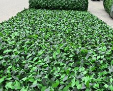 suni qazon kovralit dekor Green Layn təqdim edir