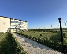 Qazon və Landşaft