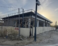 Almiyunum və plastik